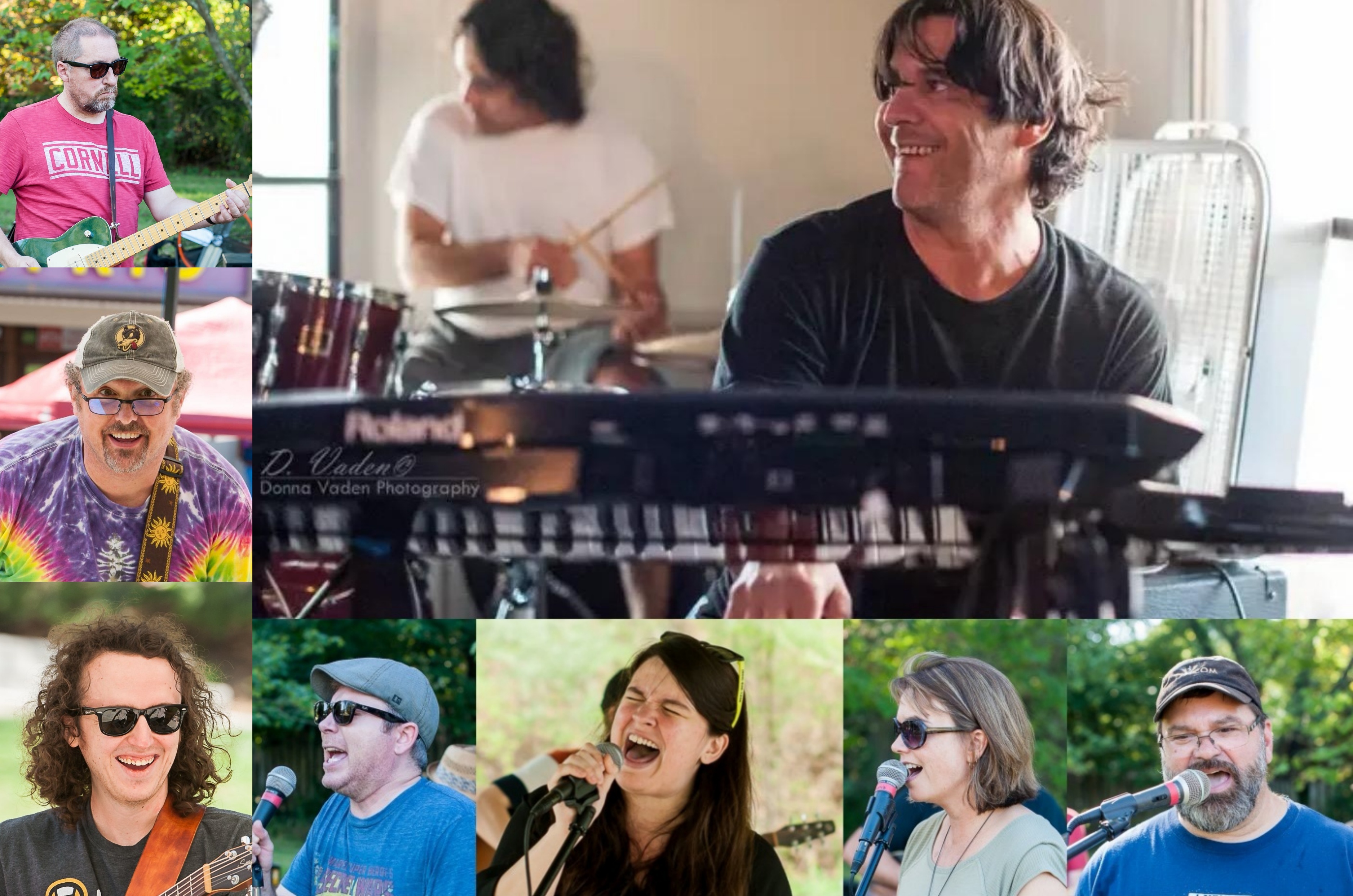 Mudd Daubers & Queen Bees